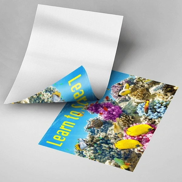 Waterproof Poster - Reef