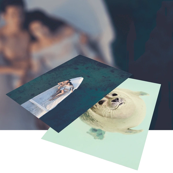 Posters Hero Image